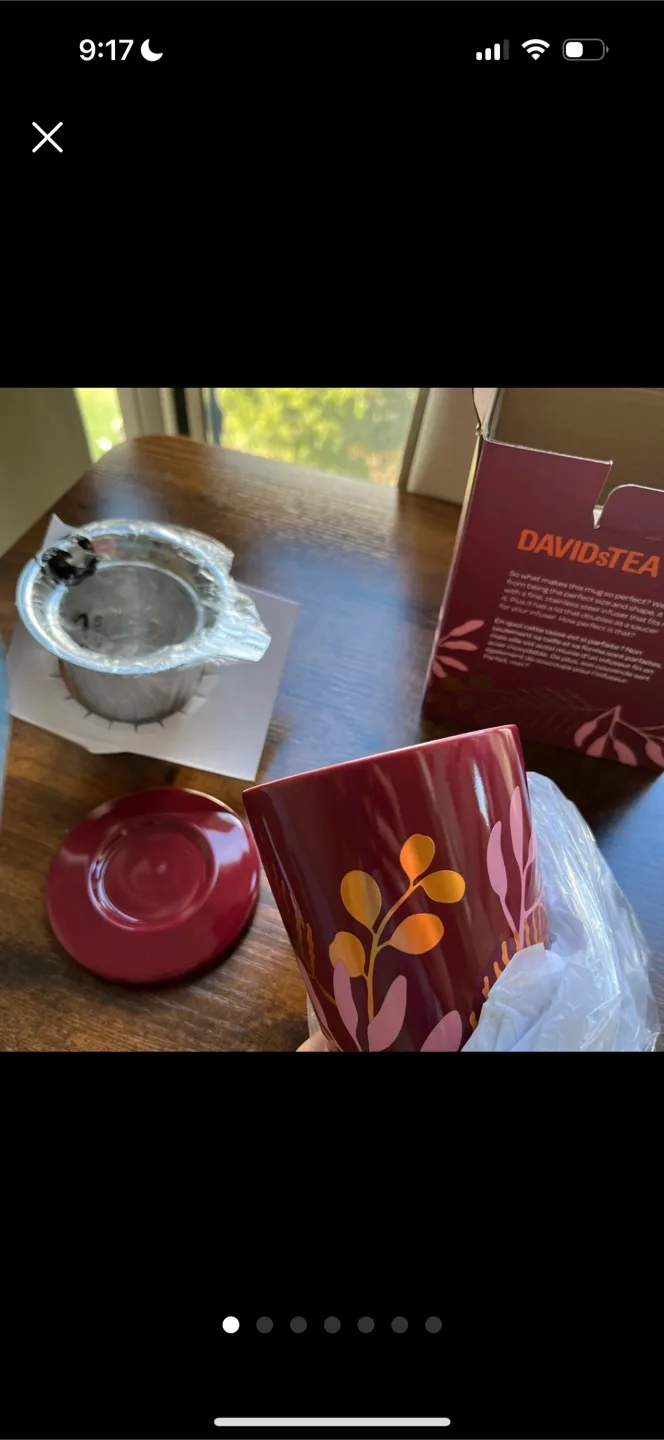David’s Tea “Perfect Mug”. New in box.