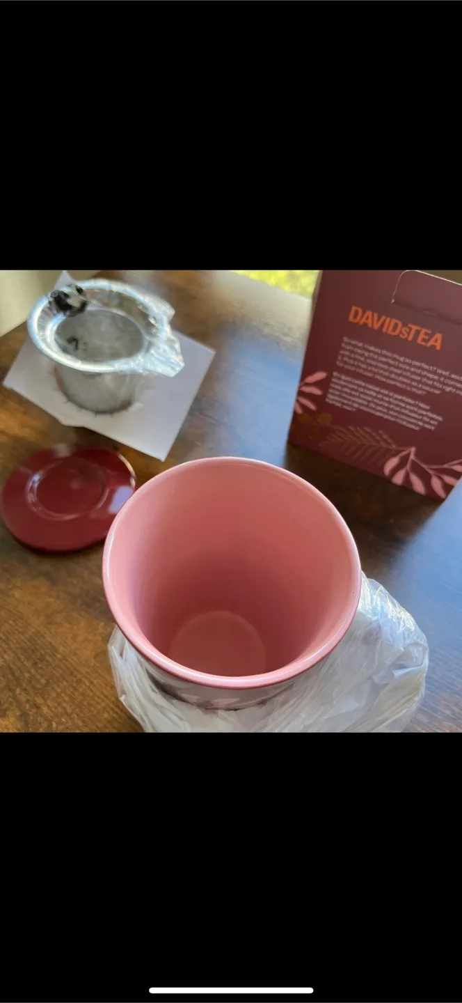 David’s Tea “Perfect Mug”. New in box. image indicator(3)