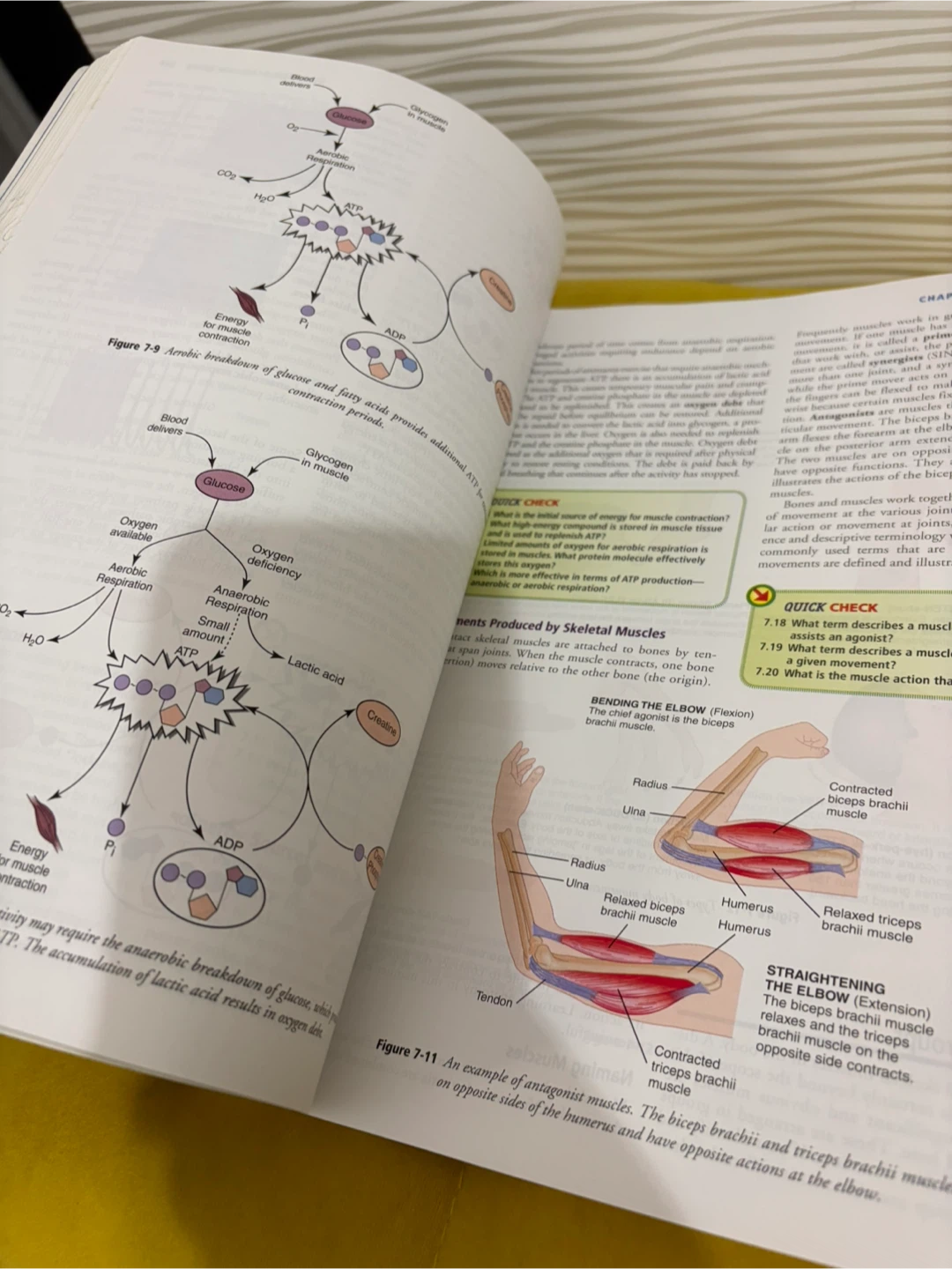 New Anatomy & Physiology Learning System 4th Edition - photo 2