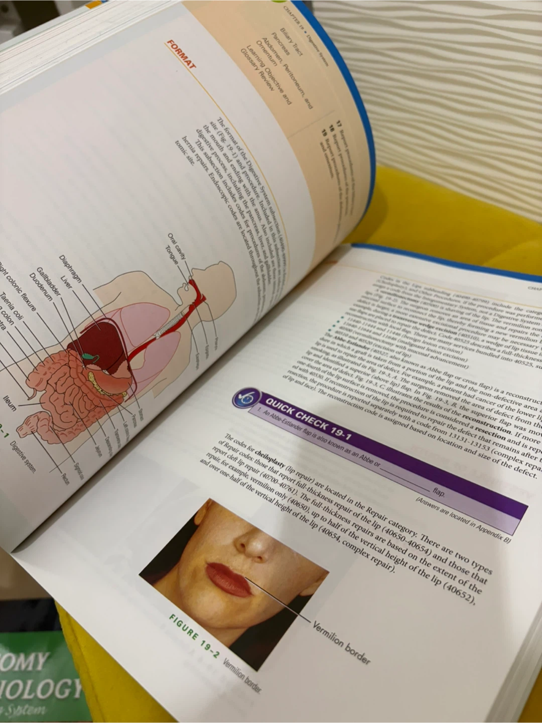 2018 Step-by-Step Medical Coding Book - photo 3