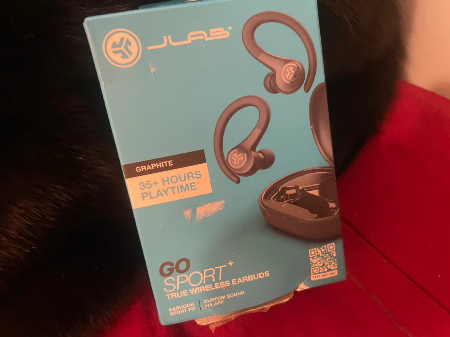 JLab Go Sport+ True Wireless Earbuds - Graphite