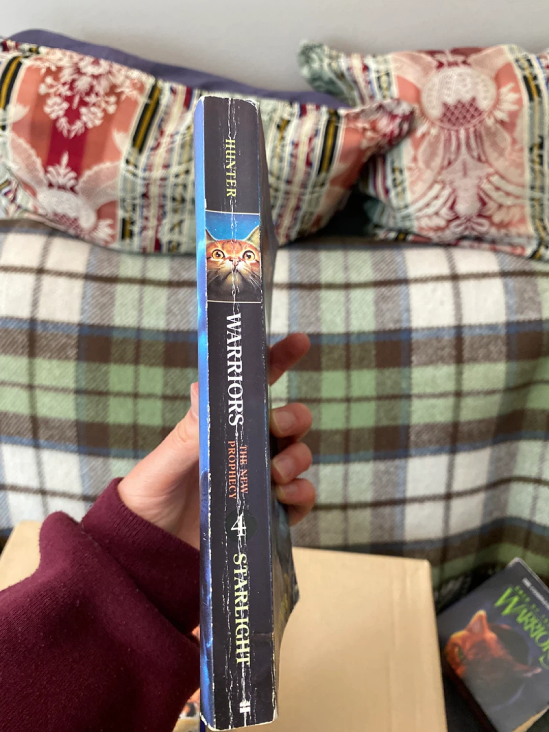 Warriors: The New Prophecy Series by Erin Hunter - photo 5