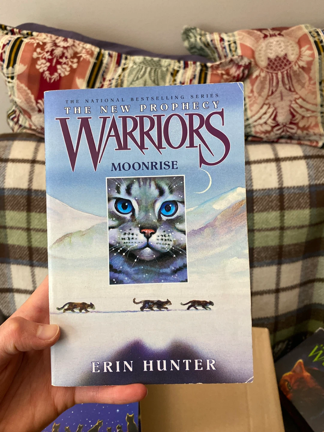 Warriors: The New Prophecy Series by Erin Hunter - photo 2