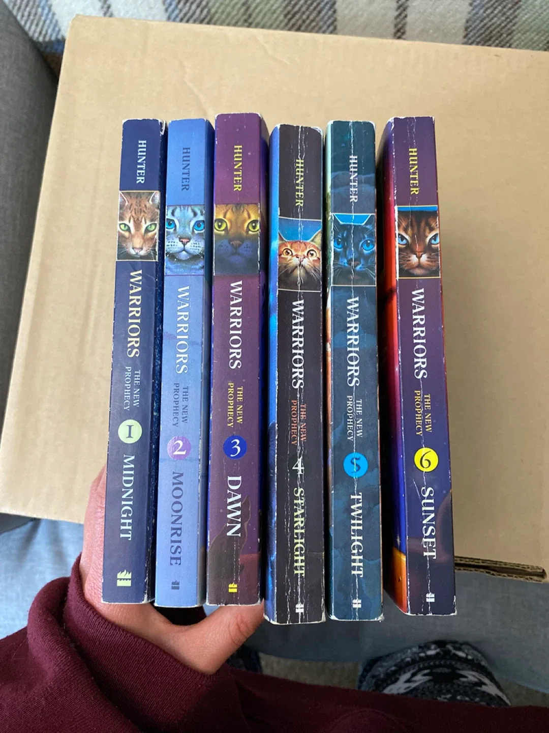 Warriors: The New Prophecy Series by Erin Hunter image indicator(10)