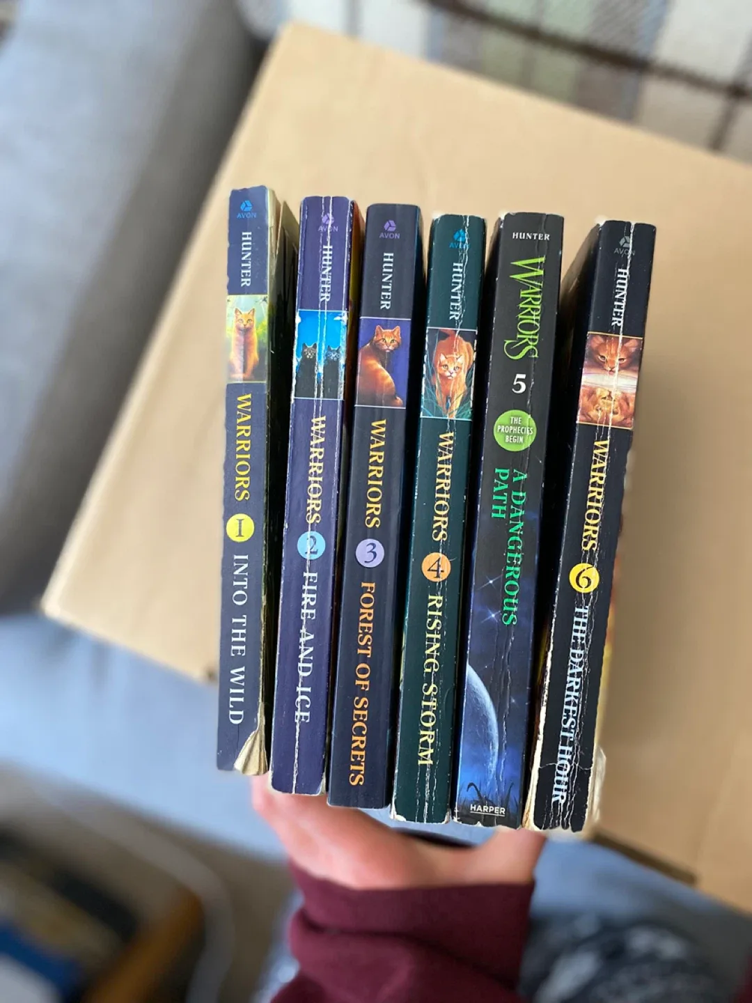 Full First Series - Warriors by Erin Hunter image indicator(7)