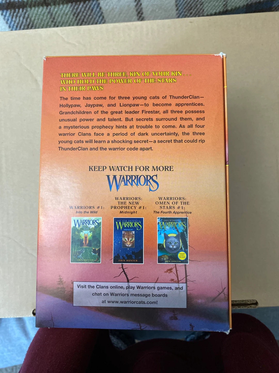 Warriors Power of Three Complete Third Series Box Set - photo 4