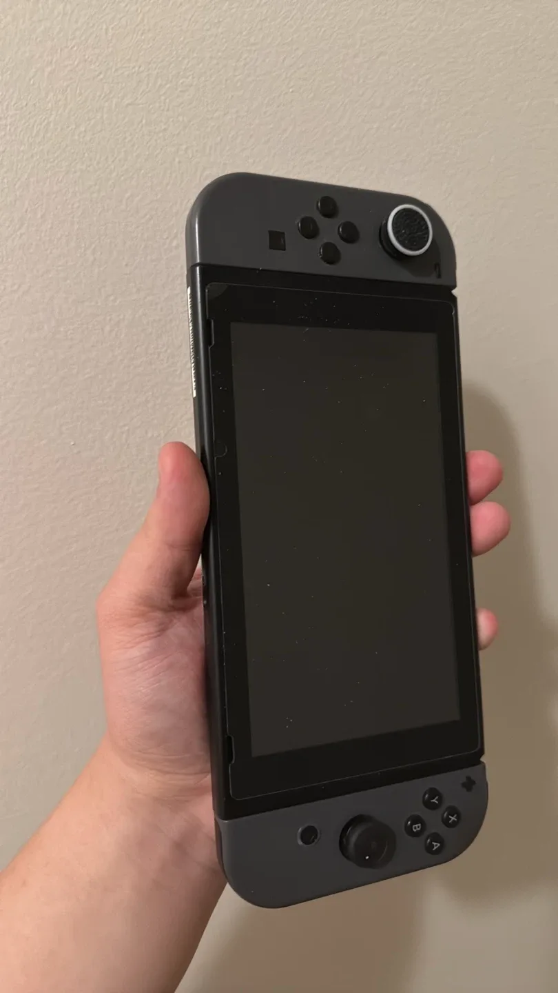 Nintendo switch V2 image indicator(2)