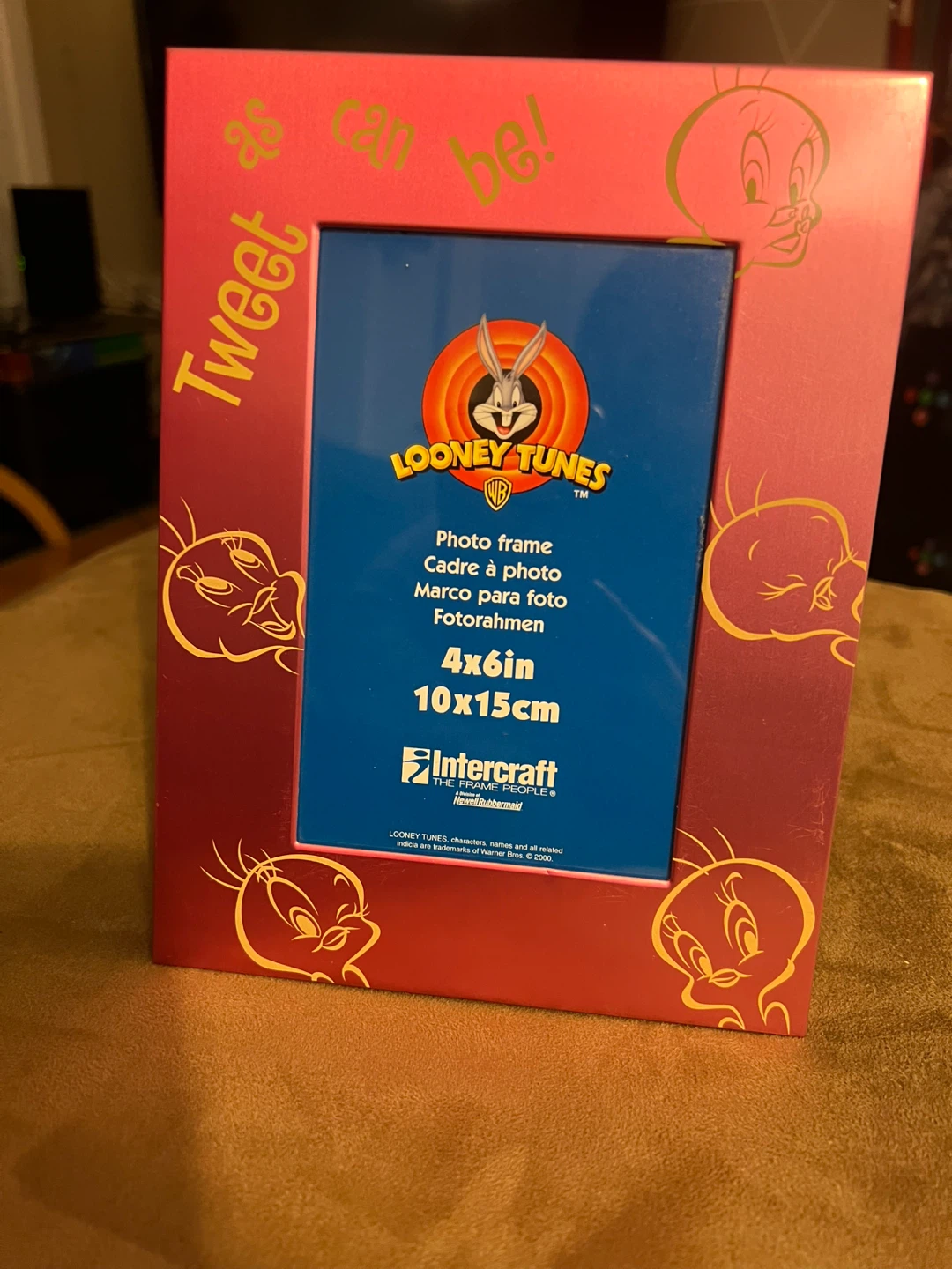Looney Tunes Tweety Bird 4x6 Photo Frame