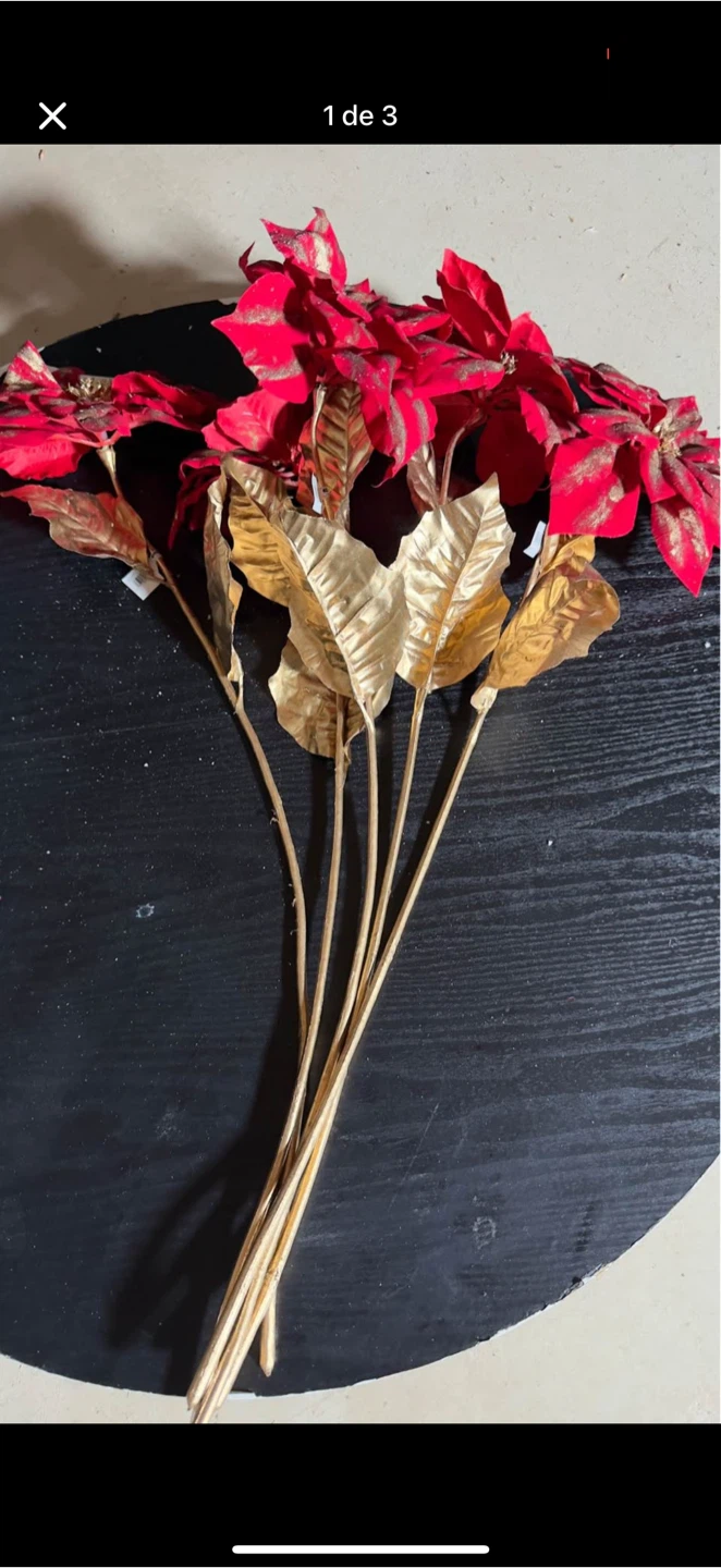 Red & Gold Poinsettia Stems
