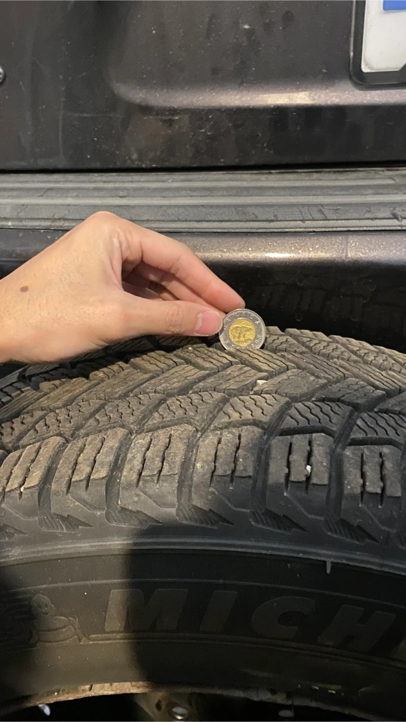 Michelin 225/60R17 Tire