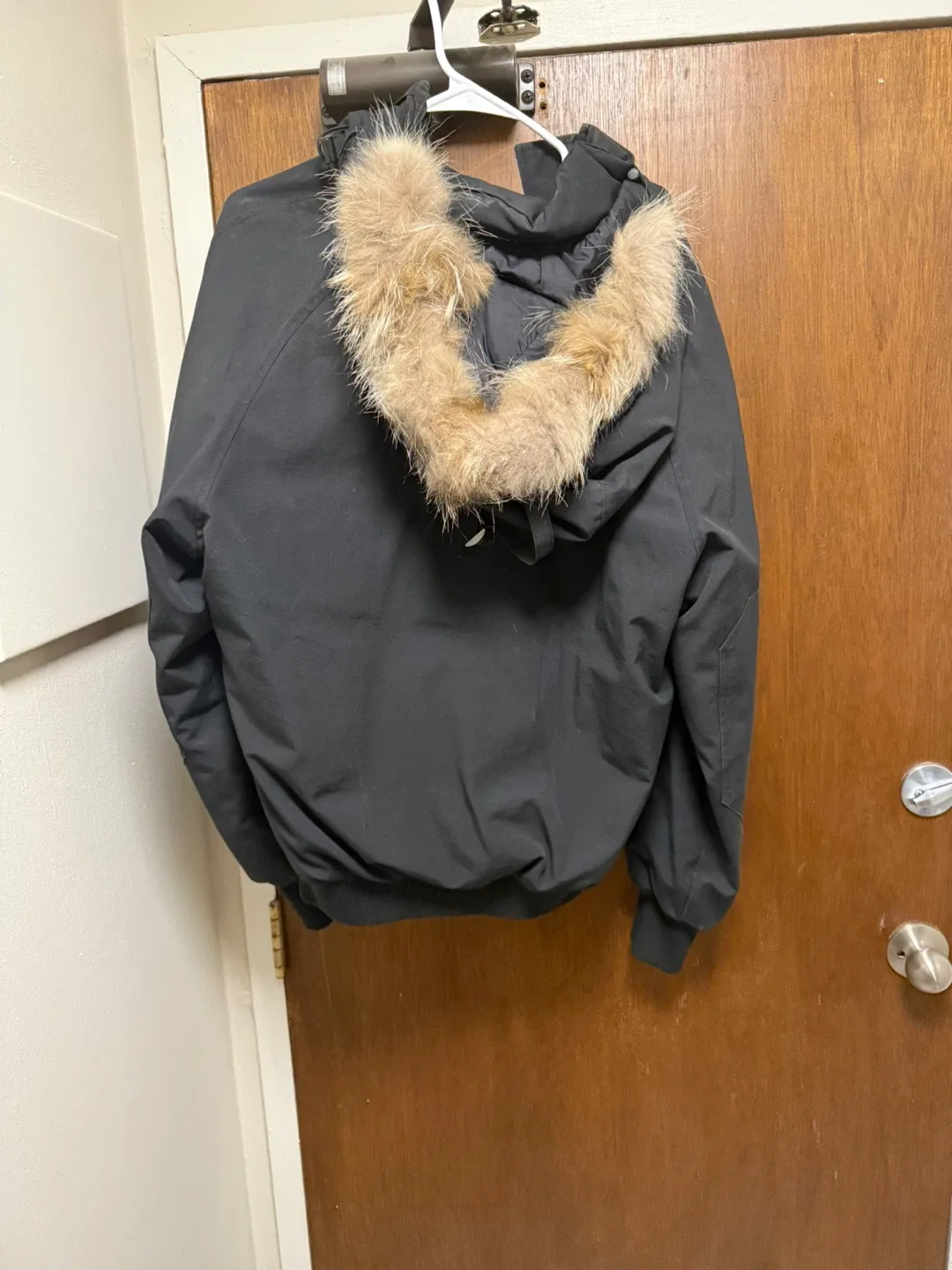 Canada Goose Bomber Jacket - Size S/P image indicator(7)