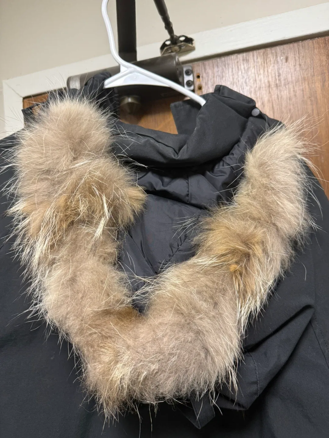 Canada Goose Bomber Jacket - Size S/P image indicator(8)