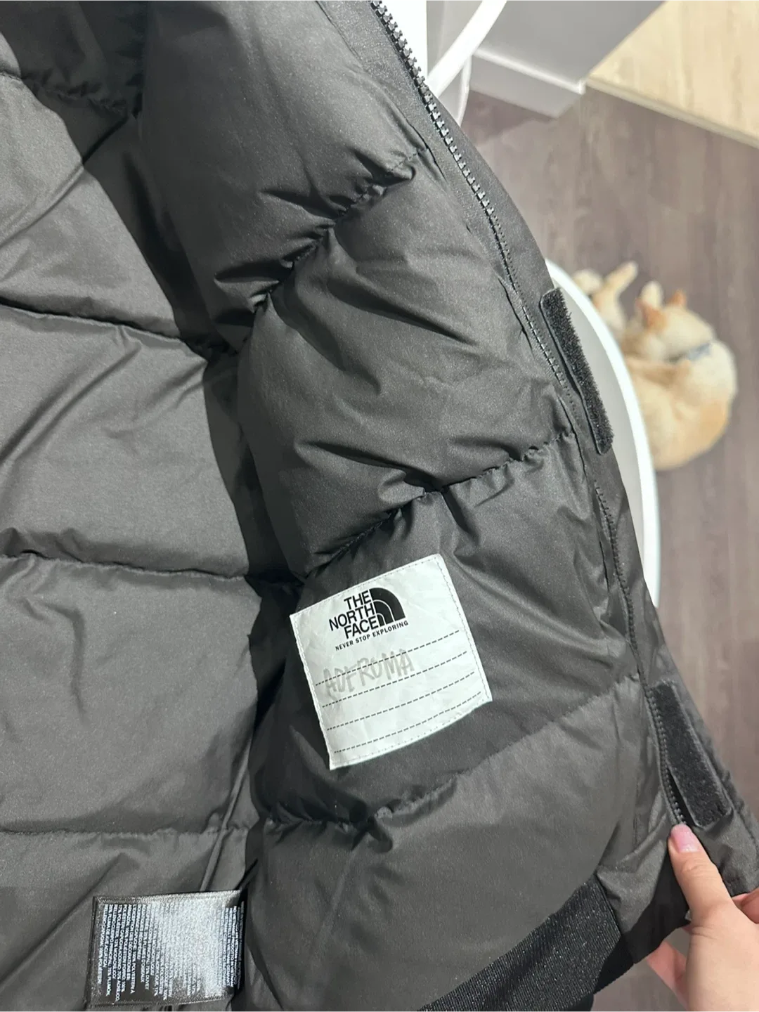 North Face Dryvent Jacket (XL boys) image indicator(3)