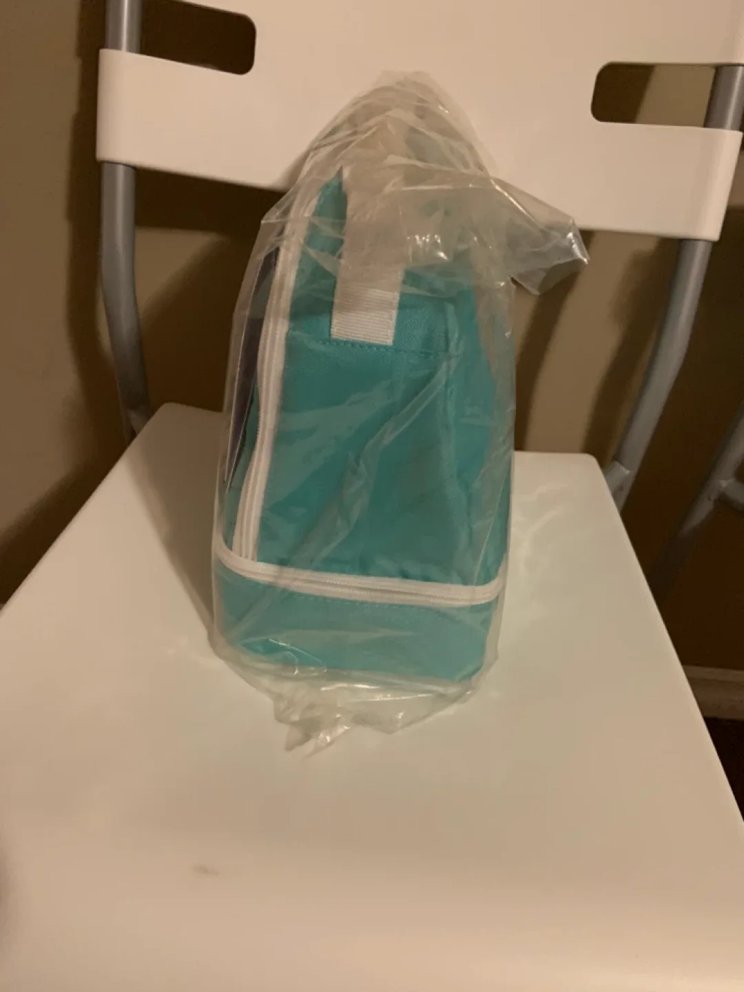 High Sierra Aquamarine Lunch Bag - New image indicator(3)