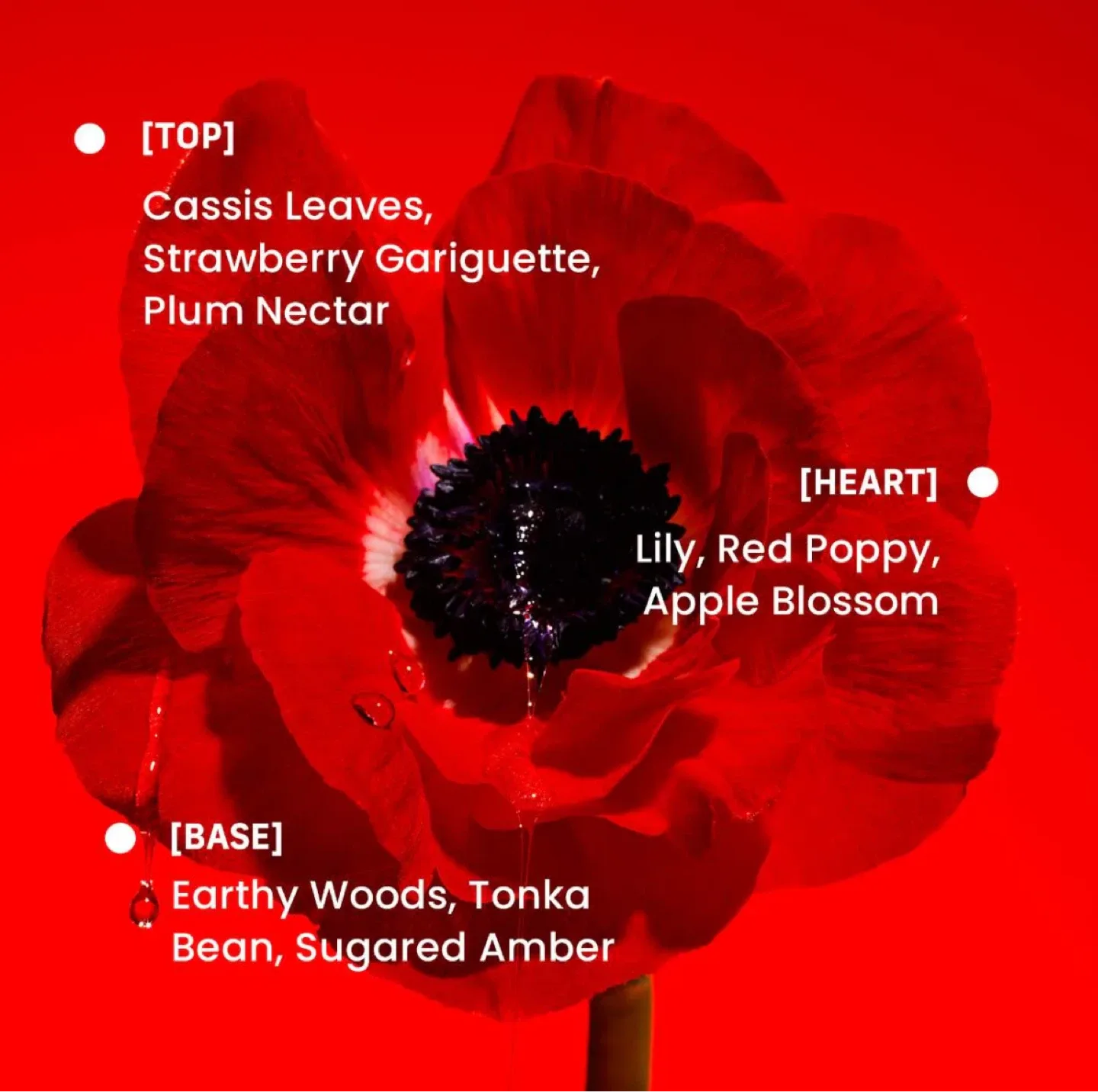 Phlur Strawberry Letter Eau de Parfum Rollerball image indicator(2)