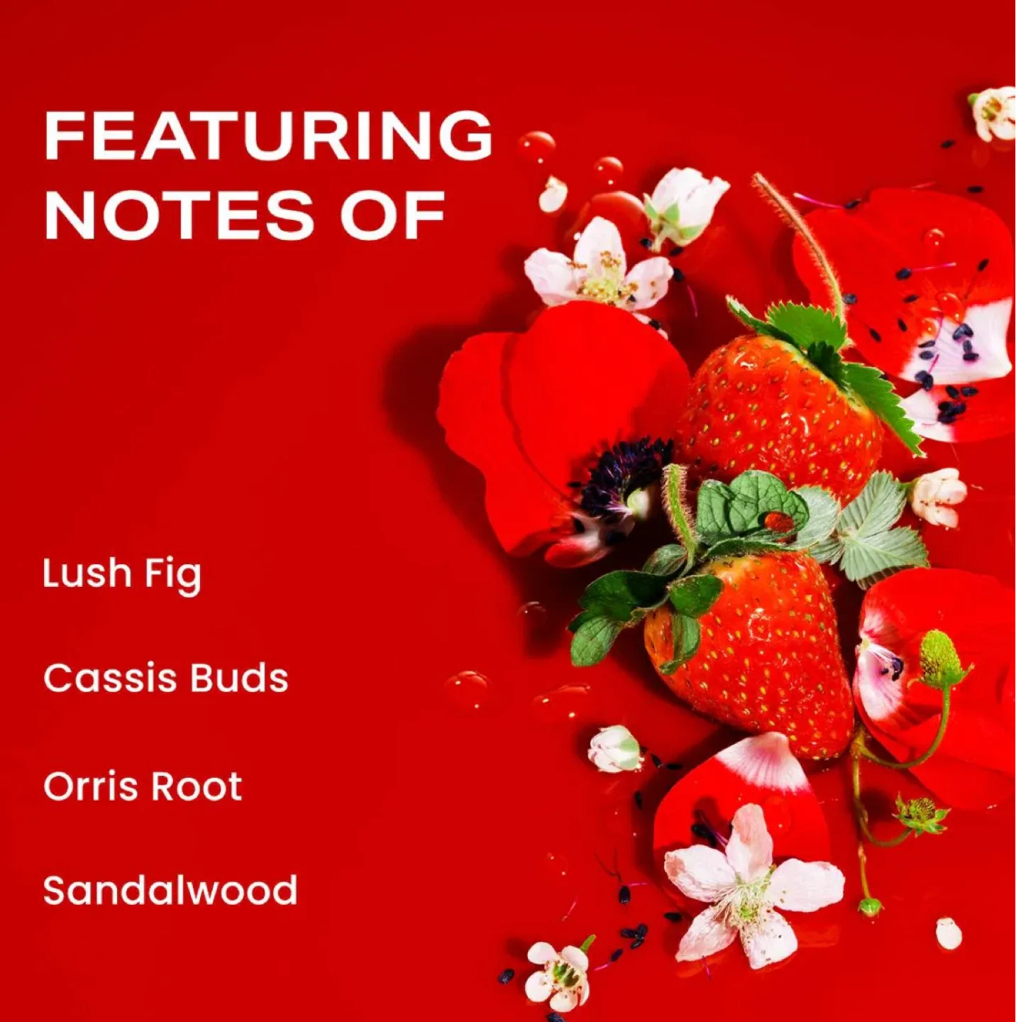 Phlur Strawberry Letter Eau de Parfum Rollerball image indicator(3)