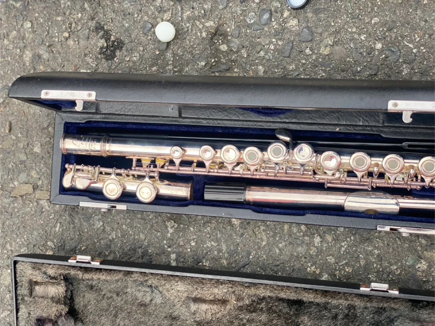 Flute with Case image indicator(4)