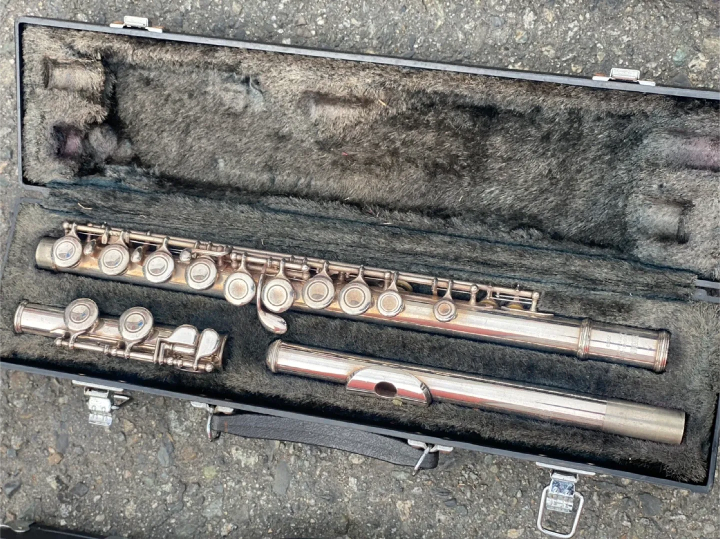 Flute with Case image indicator(2)