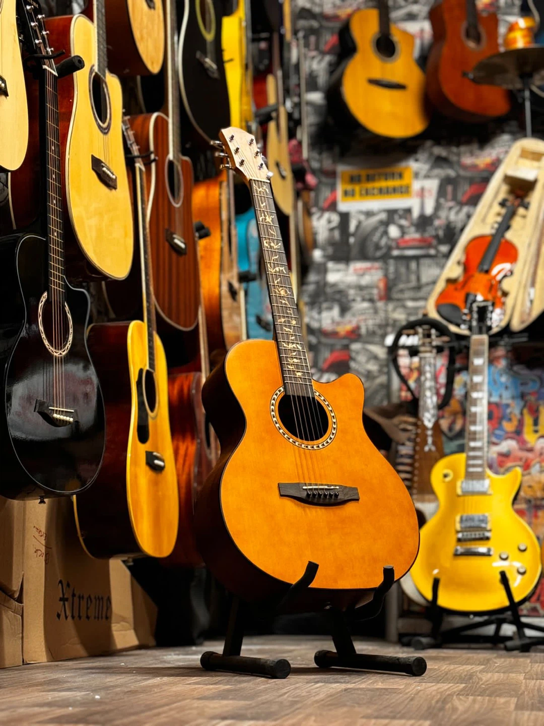Acoustic Guitar - photo 4