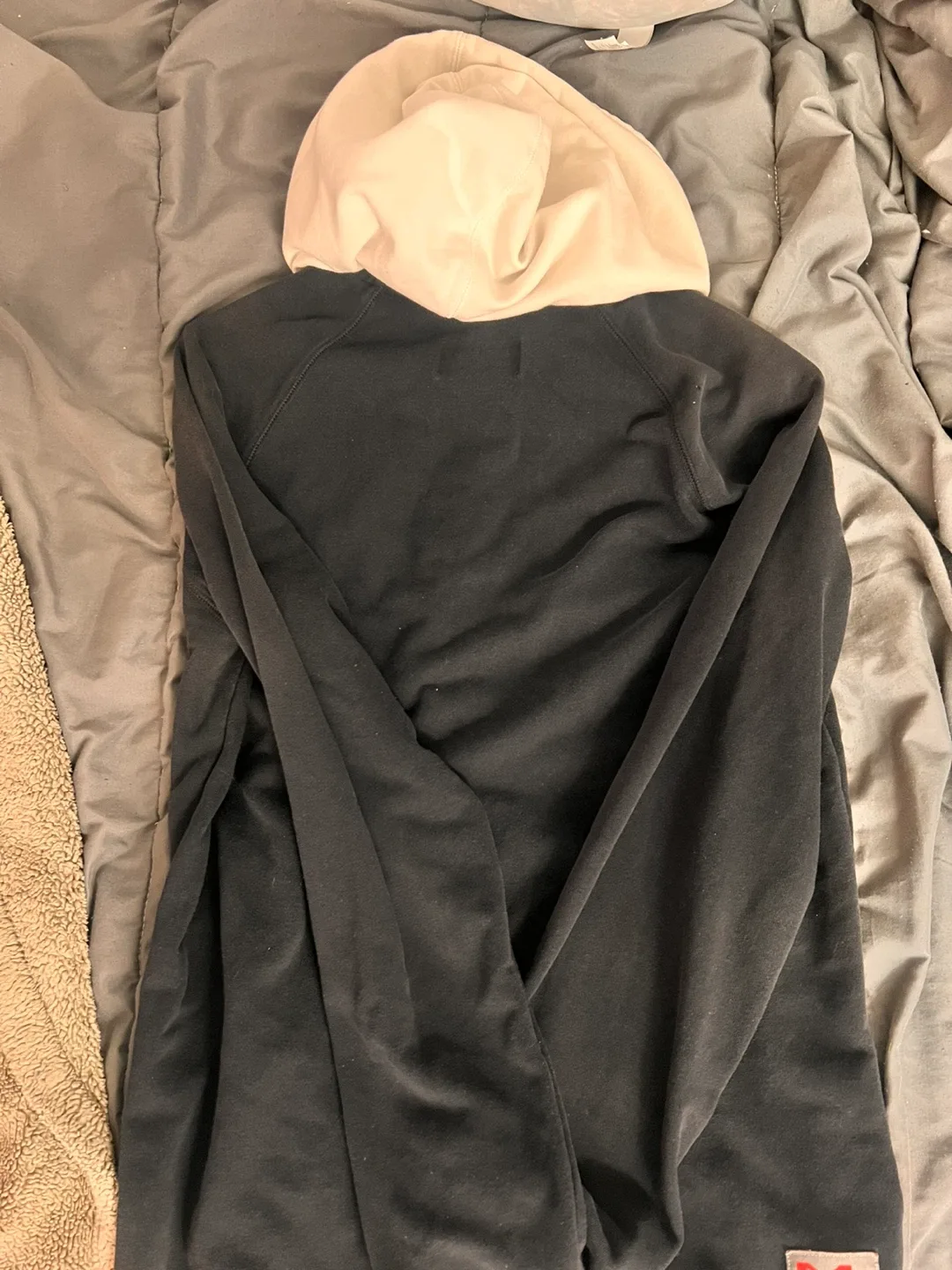 Jordan Hoodie Size L image indicator(3)