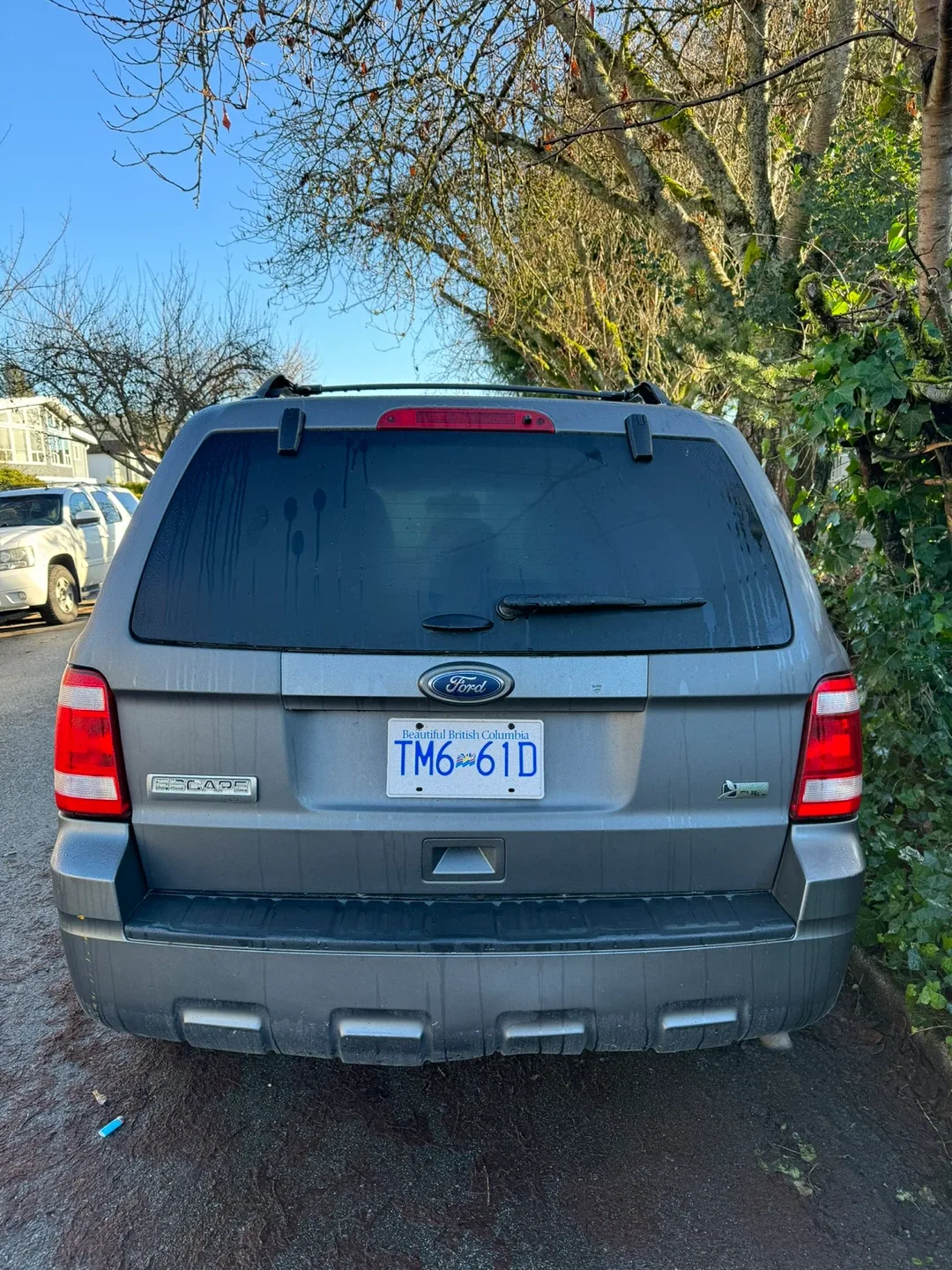 Ford Escape SUV image indicator(4)