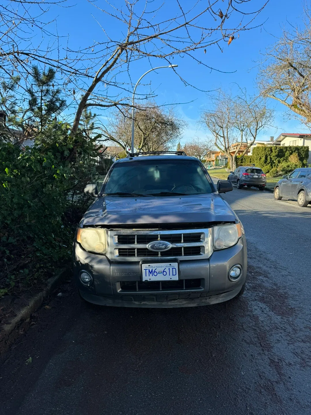 Ford Escape SUV image indicator(2)