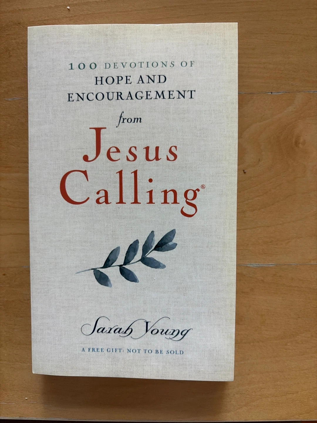 🥕 Jesus Calling: 100 Devotions Book