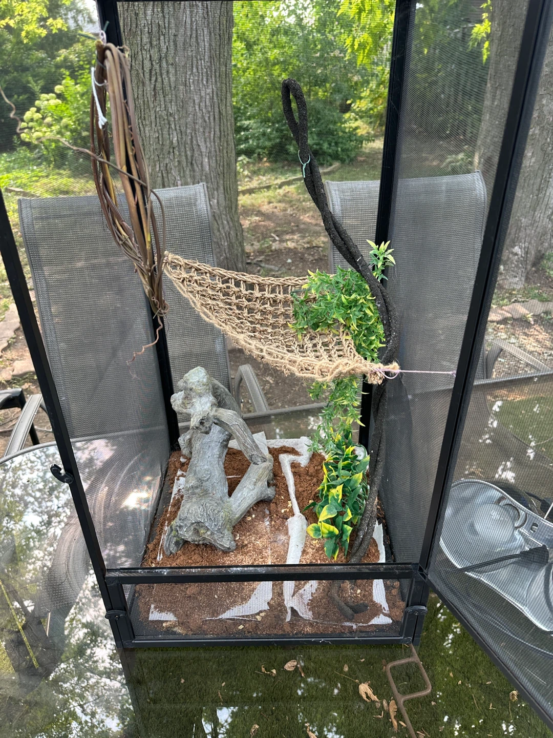 Reptile Enclosure/Terrarium with Accessories - photo 2