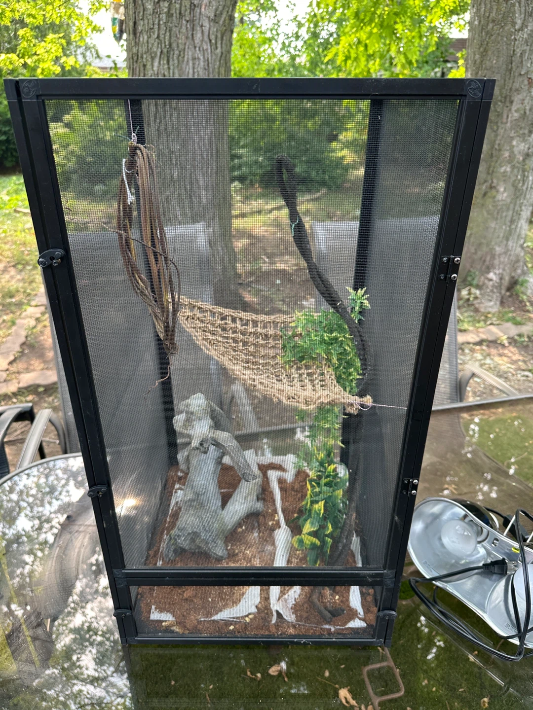Reptile Enclosure/Terrarium with Accessories