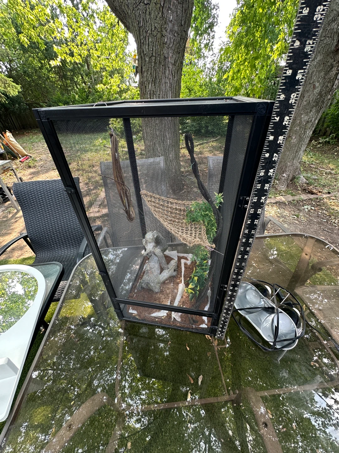 Reptile Enclosure/Terrarium with Accessories - photo 4
