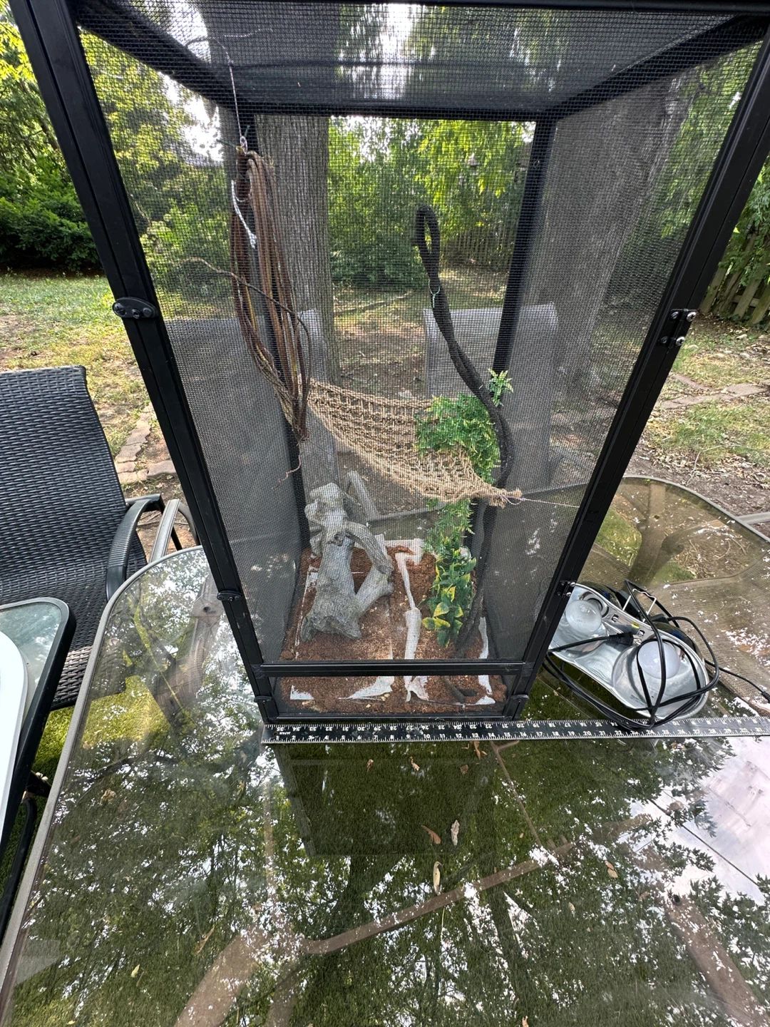 Reptile Enclosure/Terrarium with Accessories - photo 3