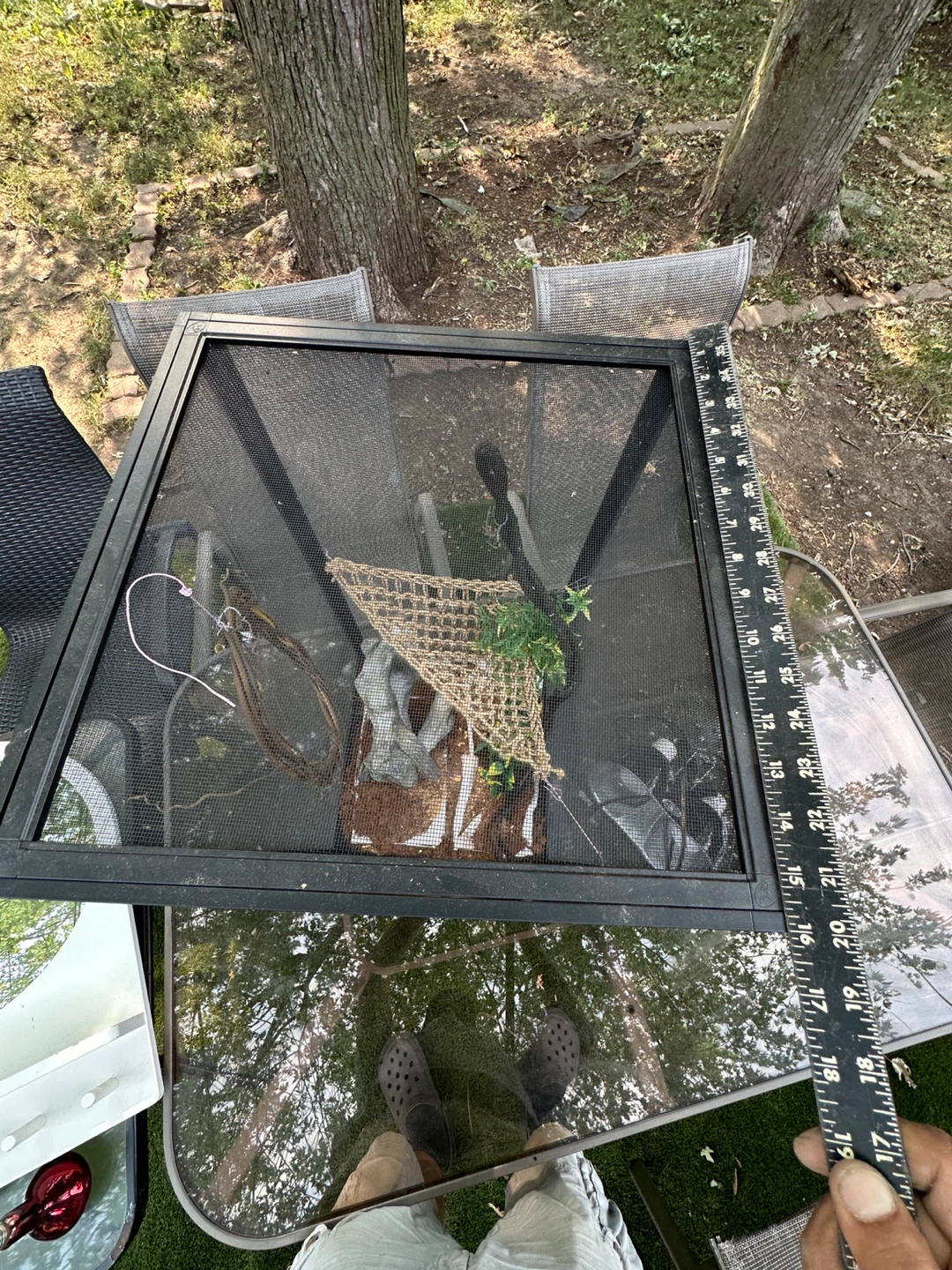 Reptile Enclosure/Terrarium with Accessories - photo 5