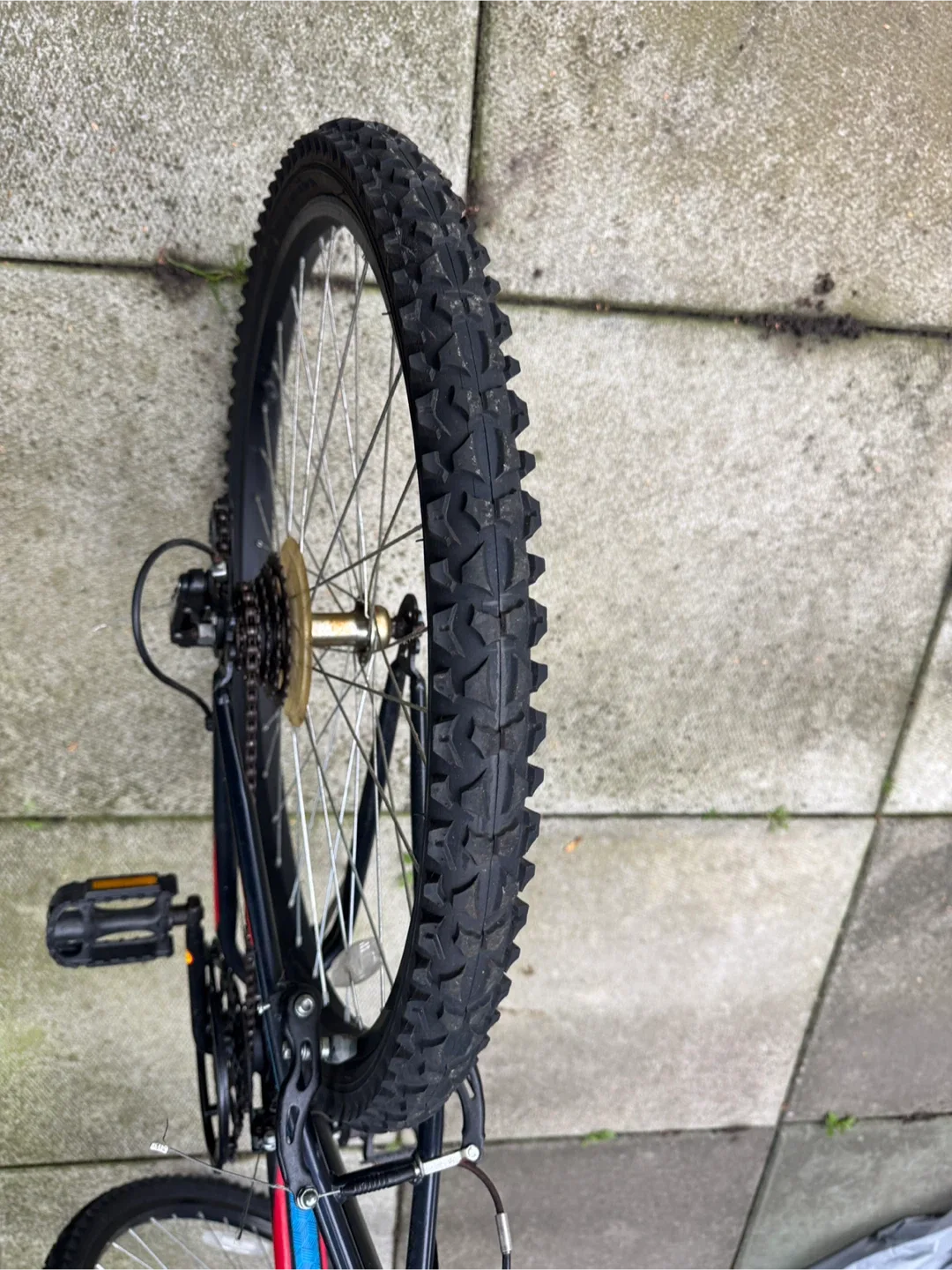 Movelo Algonquin Mountain Bike image indicator(5)