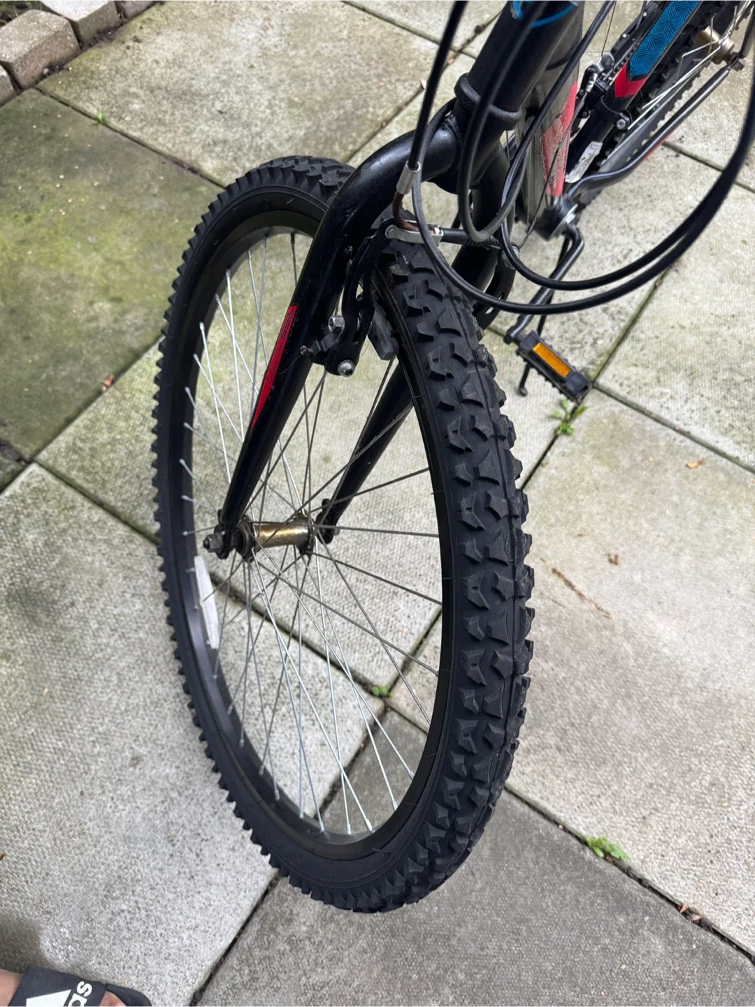 Movelo Algonquin Mountain Bike image indicator(4)