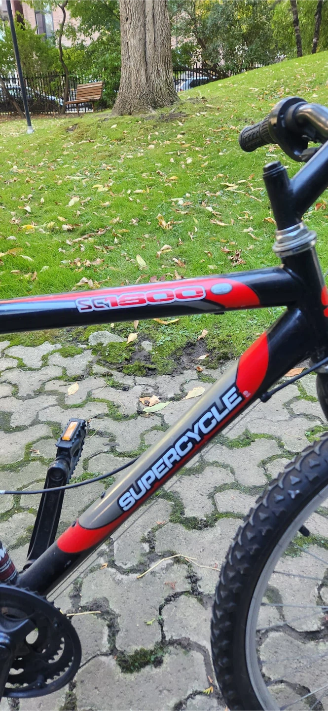 This is a Supercycle SC1800 18-speed mountain bike - photo 4