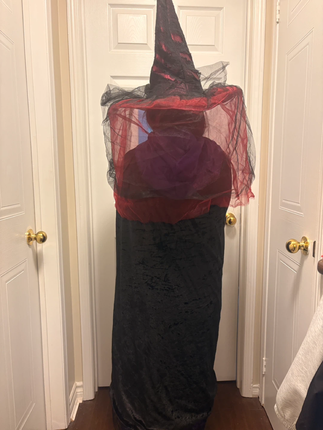 Witch Costume - Adult Size - photo 2