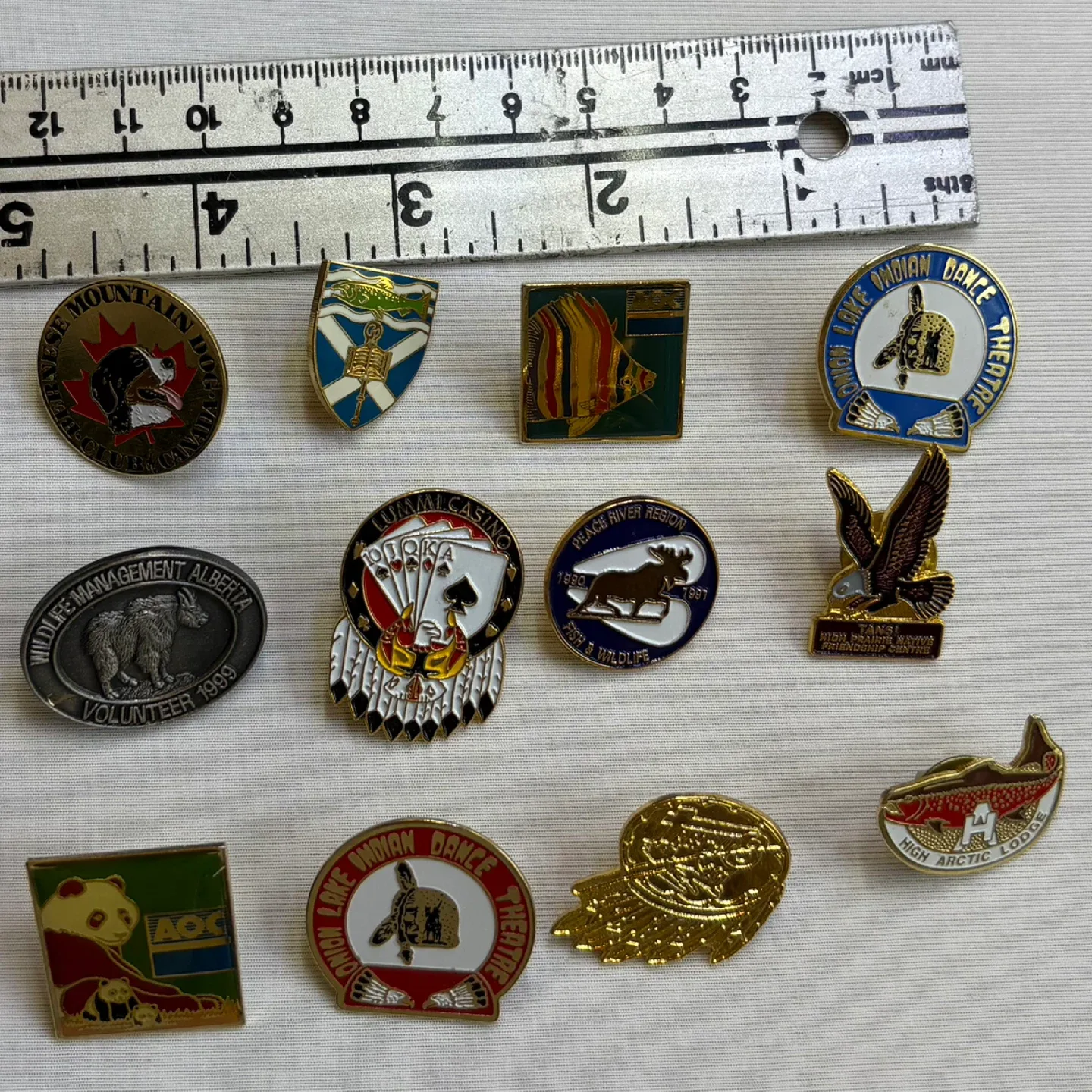 Vintage Enamel Lapel Pin Collection Mixed Wildlife Souvenir Lot image indicator(5)