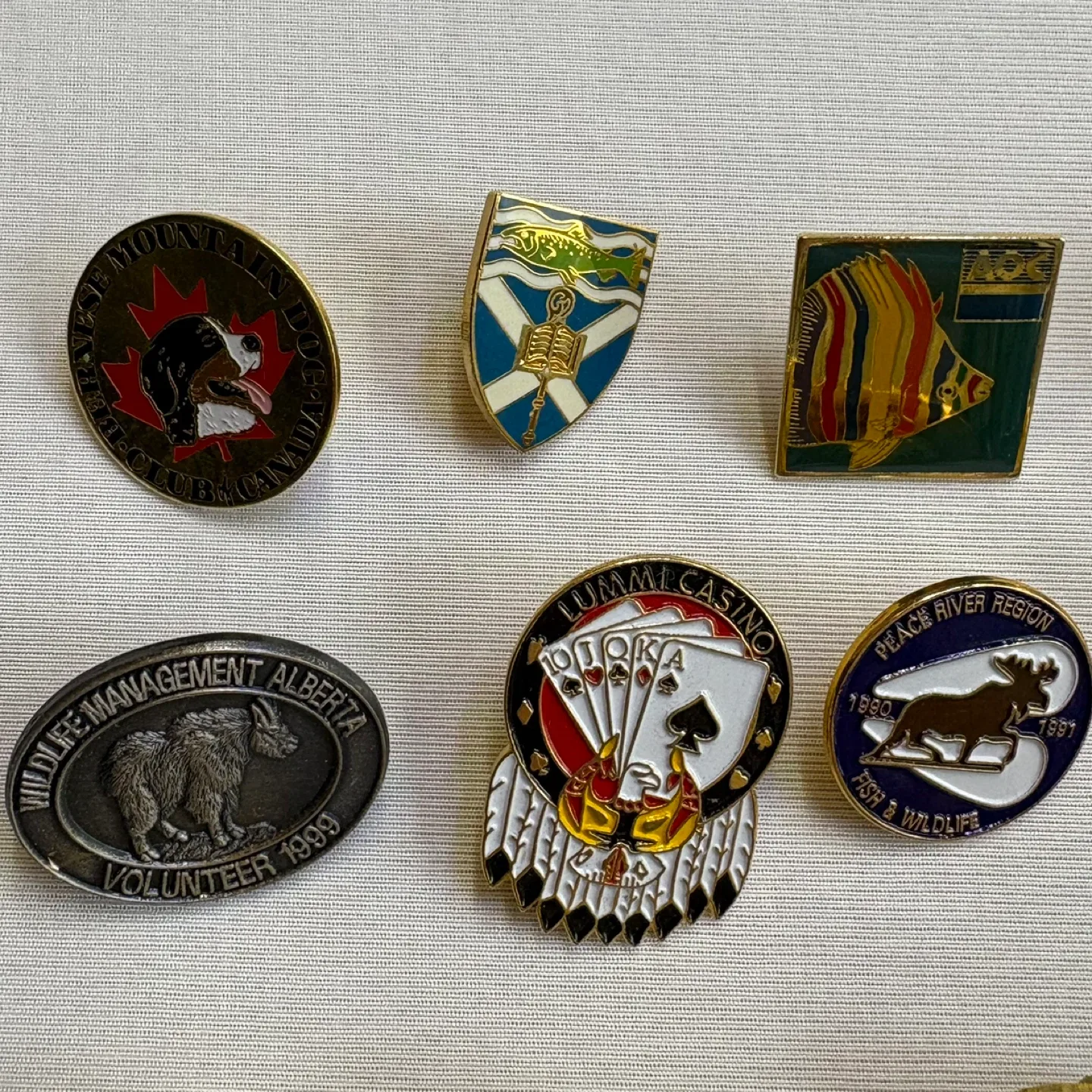Vintage Enamel Lapel Pin Collection Mixed Wildlife Souvenir Lot image indicator(2)