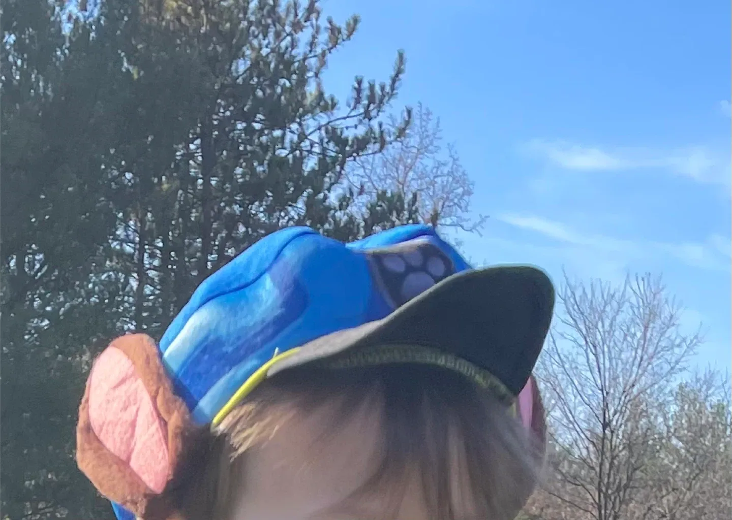 Paw Patrol Chase Costume 🥕 image indicator(2)