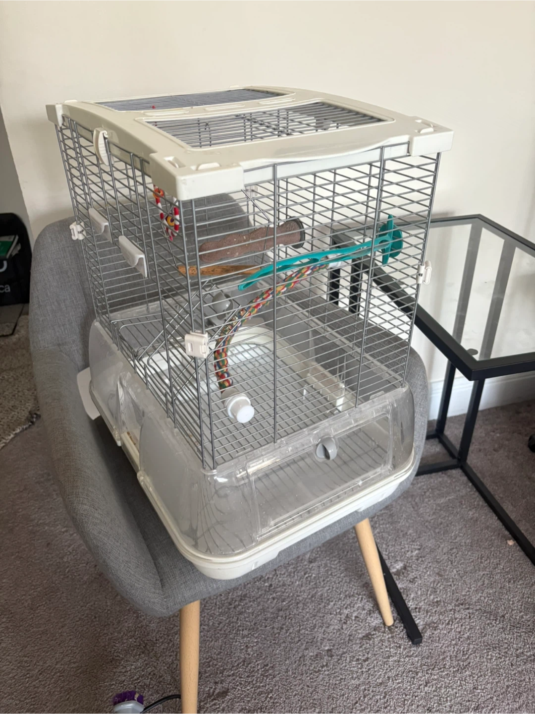 Budgie cage, gym and toys