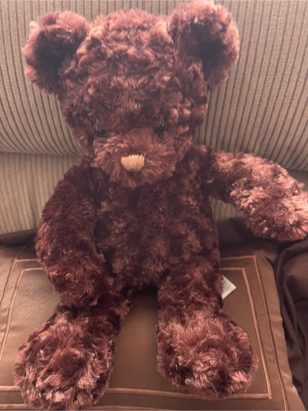 Build-A-Bear Chocolate Brown Teddy Bear - photo 3