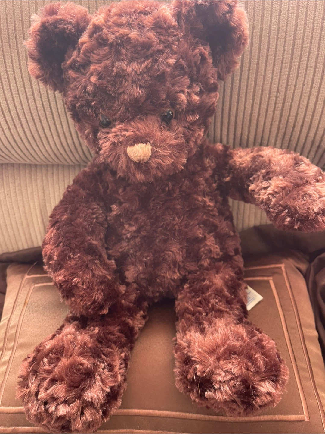 Build-A-Bear Chocolate Brown Teddy Bear - photo 5