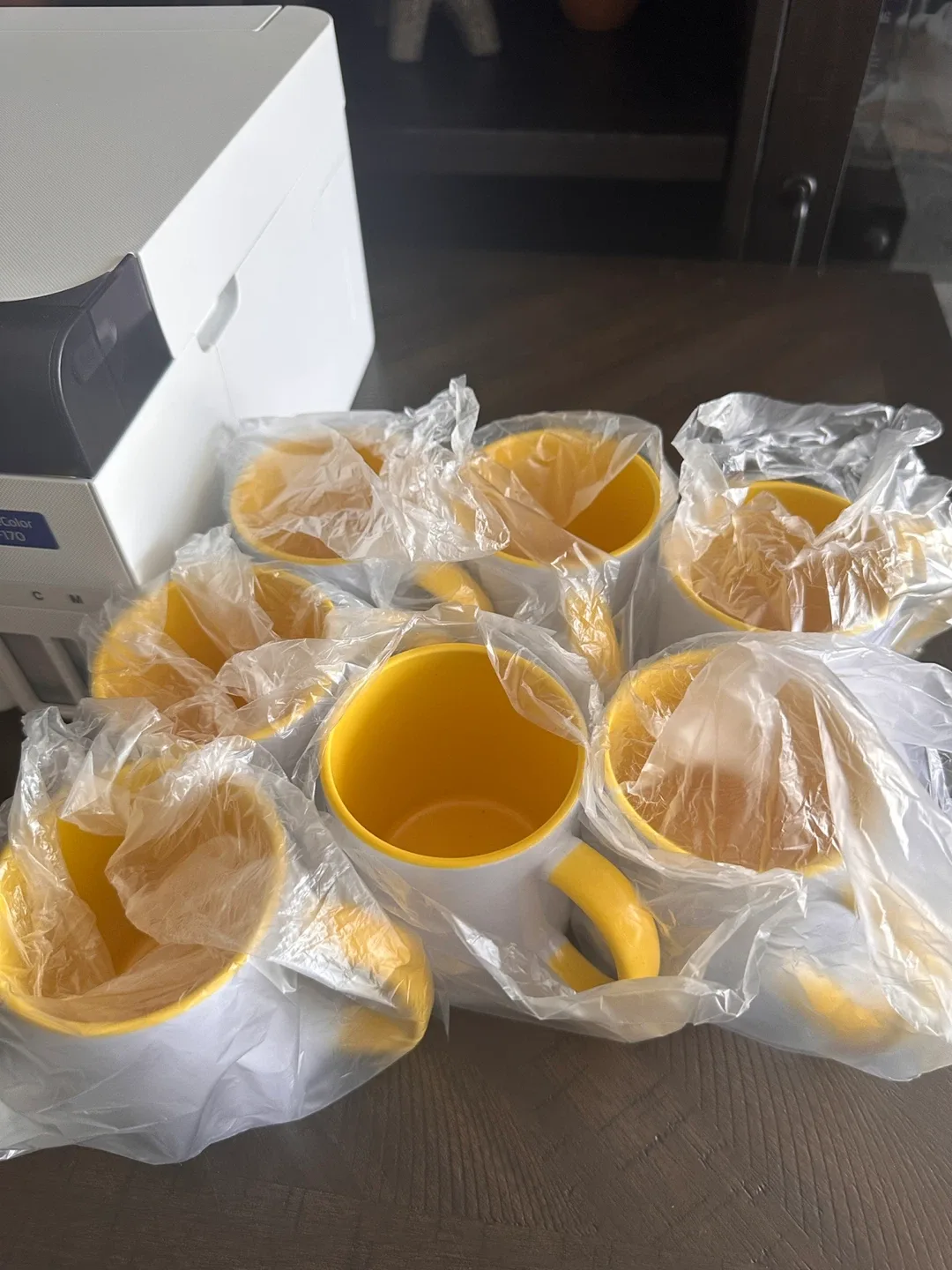 Epson SureColor F170 Sublimation Printer & Supplies image indicator(4)