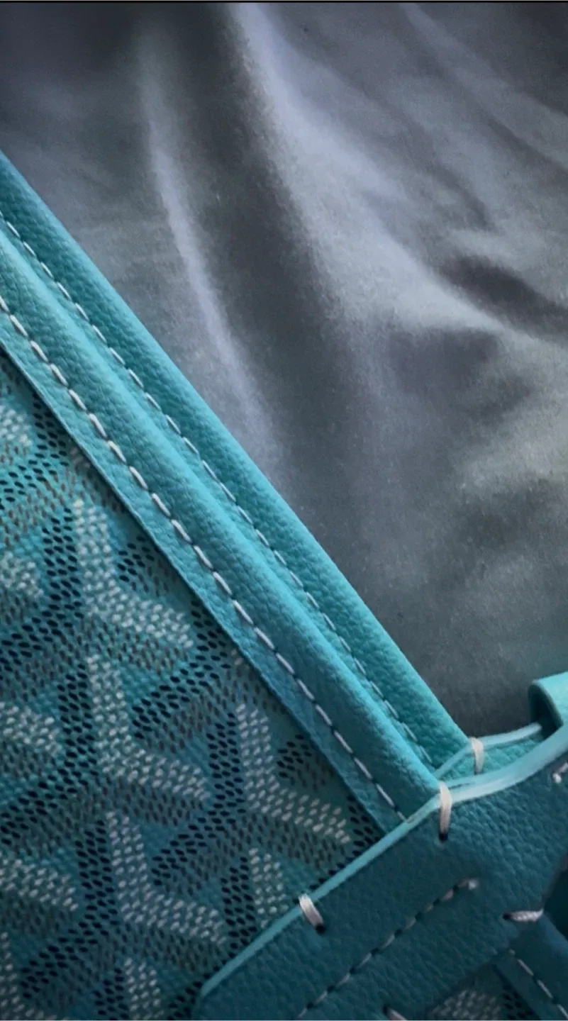 Goyard Turquoise Tote Bag image indicator(3)