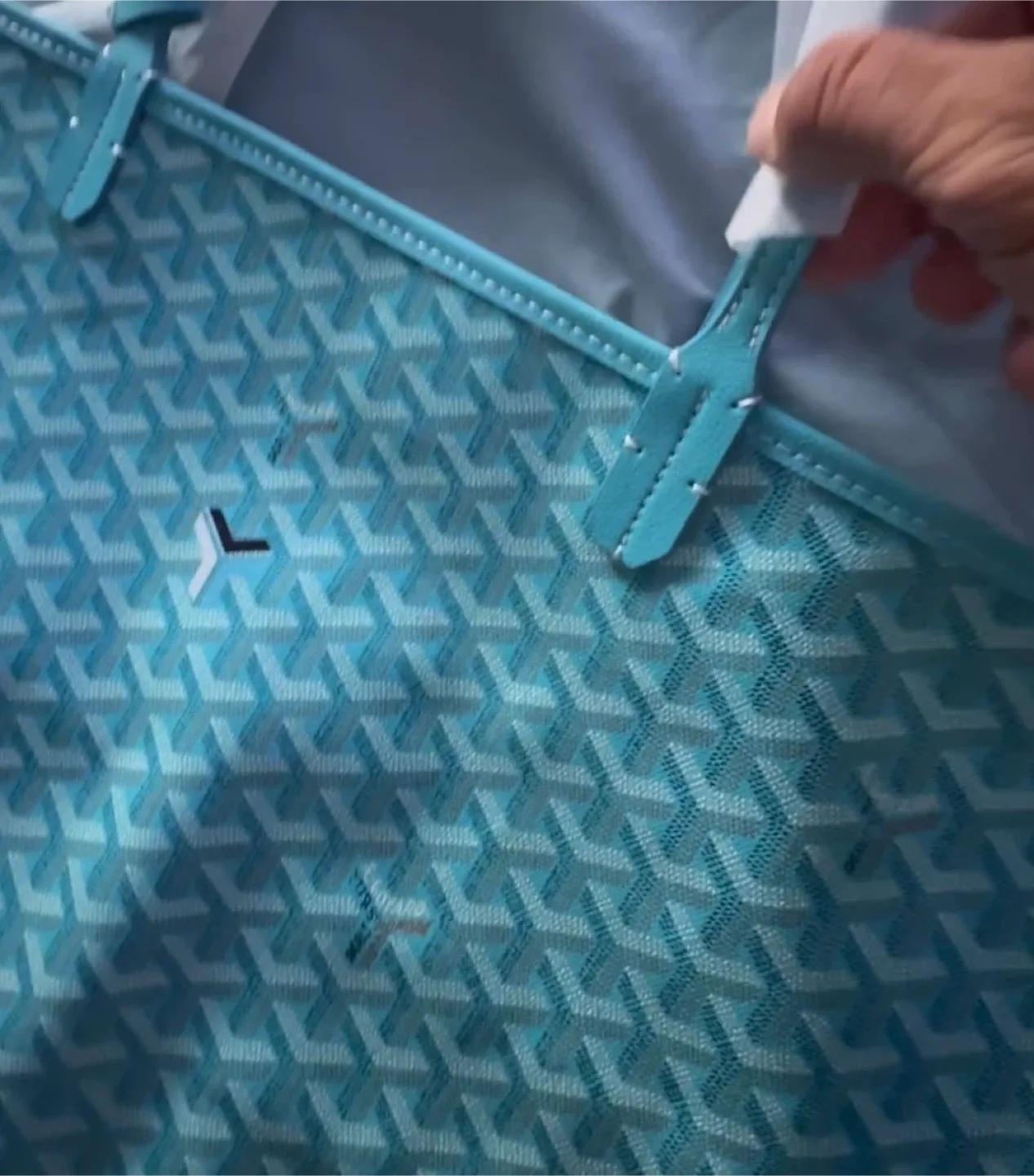 Goyard Turquoise Tote Bag image indicator(4)