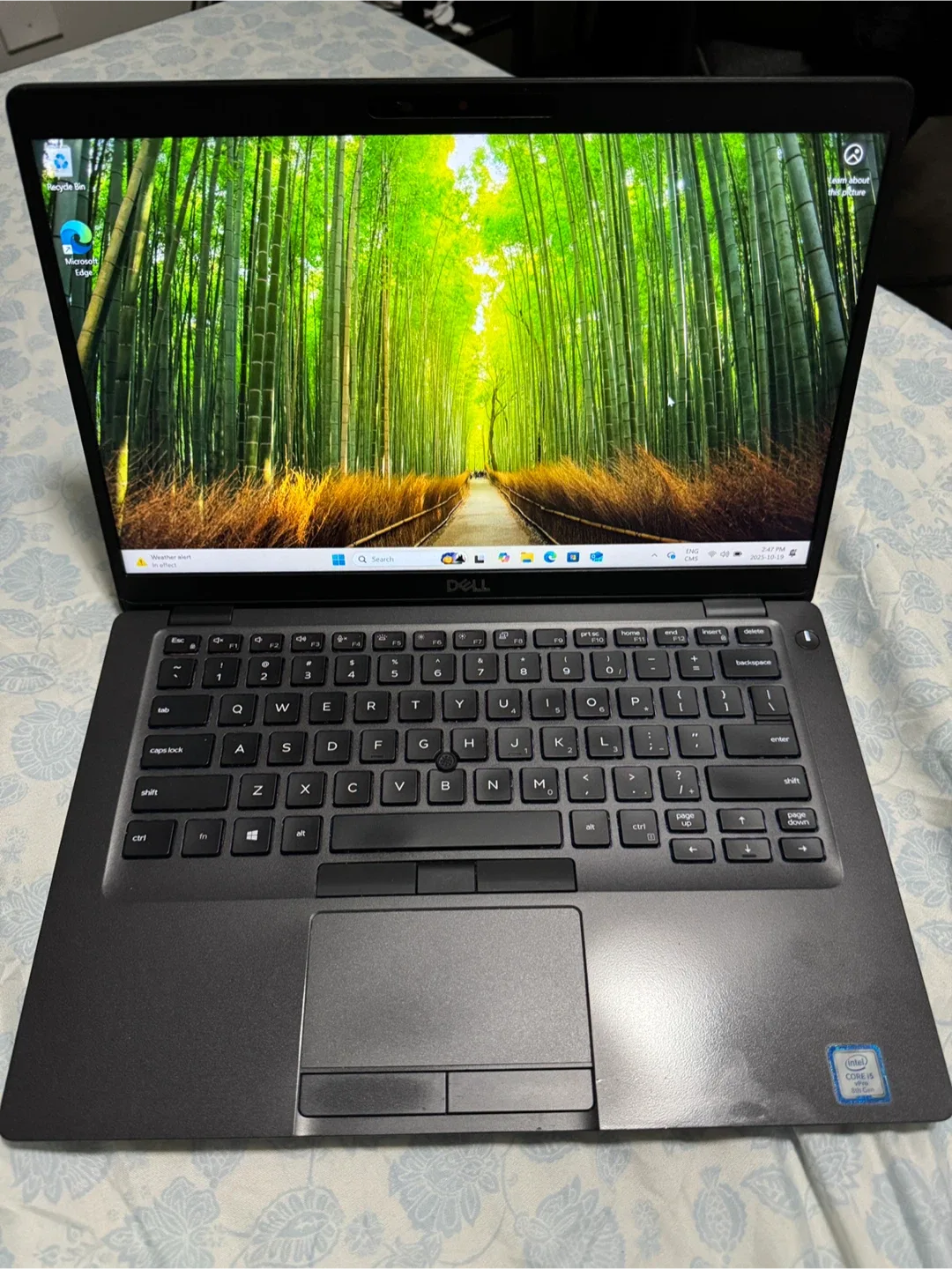 Dell Laptop image indicator(8)