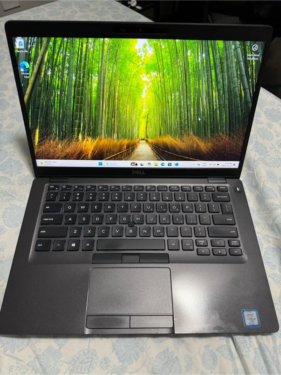 Dell Laptop image indicator(7)