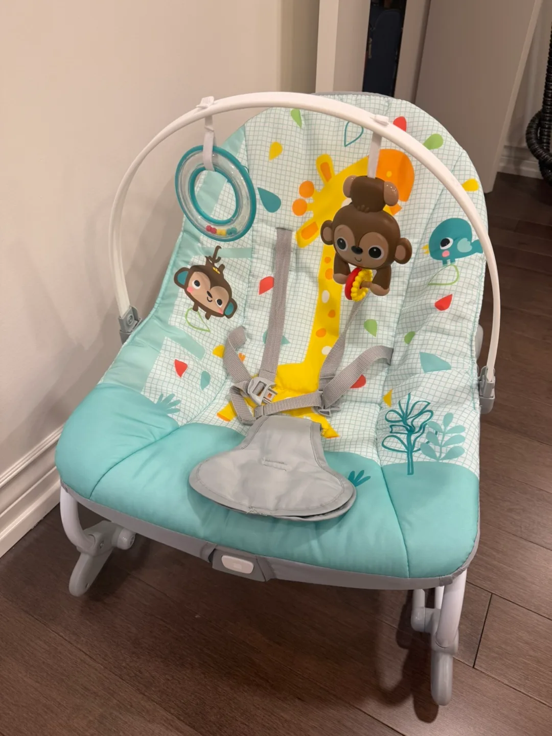 Bright Starts Baby Bouncer - Excellent Condition image indicator(3)