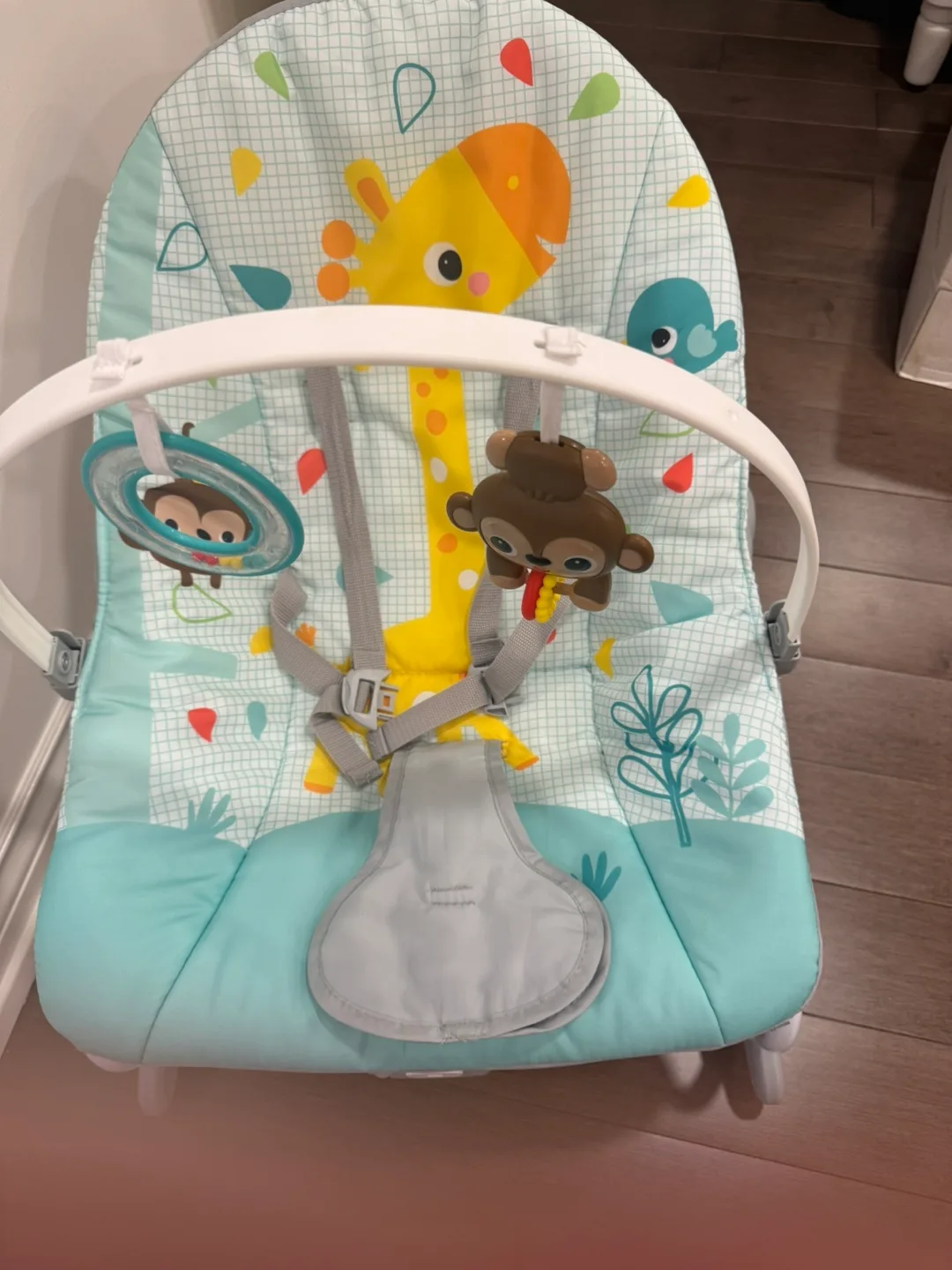 Bright Starts Baby Bouncer - Excellent Condition image indicator(4)