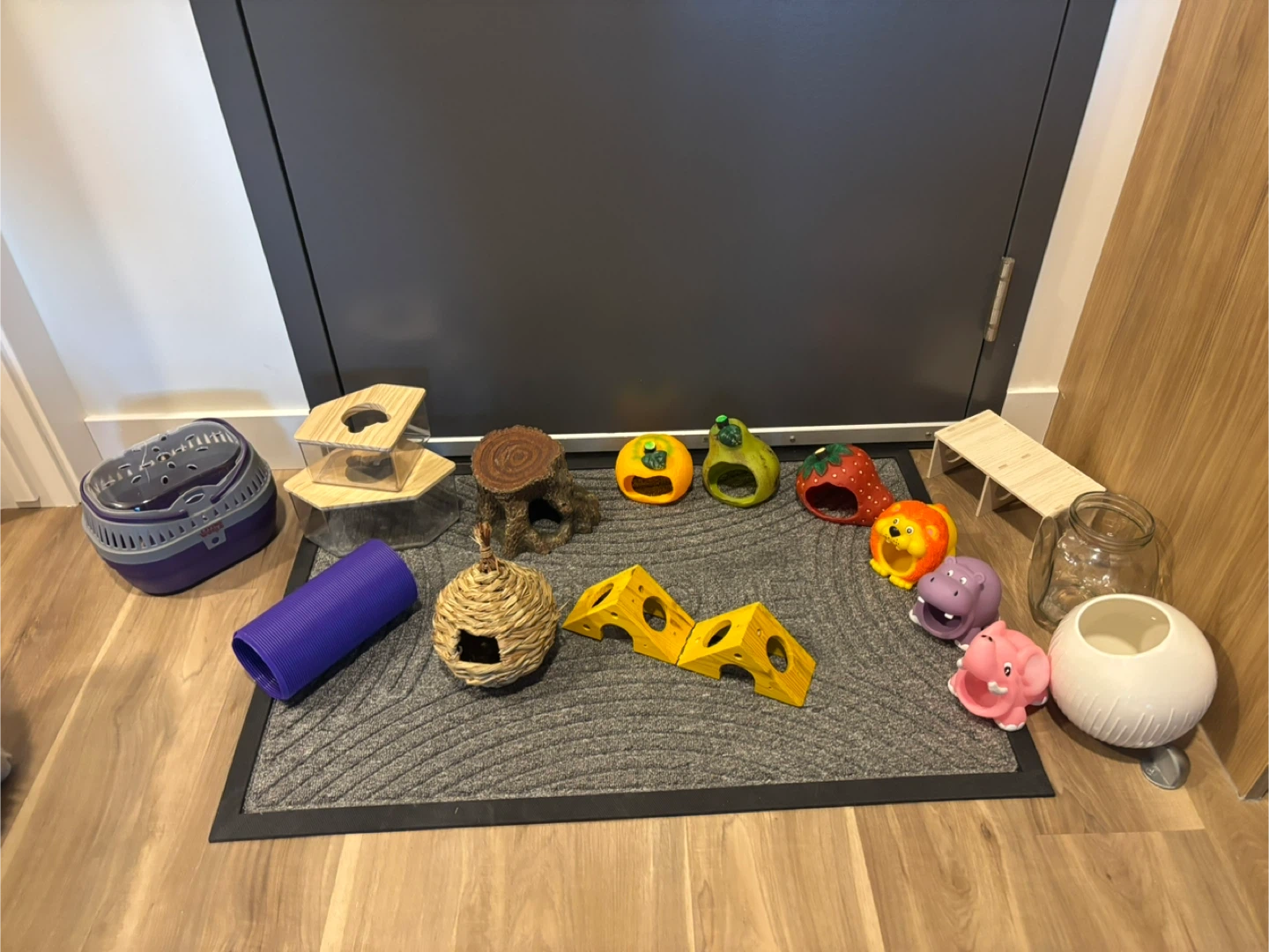 Hamster/Small Pet Supplies & Accessories - photo 2